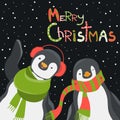 Funny penguins friends celebrating Christmas