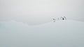 Funny penguins slides at iceberg in Antarctica. Cute animals on snow and ice floe in ocean Royalty Free Stock Photo