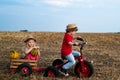 Funny people. Happy children farmers having fun on spring field. Ecology concept child. Happy little farmers having fun Royalty Free Stock Photo