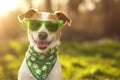 Funny pet dog wears Saint Patrick Day festive accessories