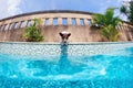 Funny photo of jack russell terrier in swimming pool