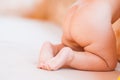 Funny picture of baby feet. Royalty Free Stock Photo