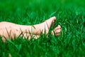 Funny picture of baby feet in grass. Royalty Free Stock Photo