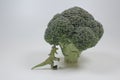 a Funny picture of toy dinosaur eating broccoli tree Royalty Free Stock Photo