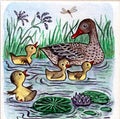 Funny picture. Watercolor on paper. Light blue background. A duck with ducklings on the water.