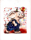 Funny picture. Watercolor on paper. Light blue background.Red bright beautiful elephant in the circus with a ball.
