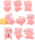 Funny Pig cartoon collection Royalty Free Stock Photo