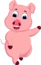 Funny pig cartoon