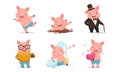 Funny Pig Drinking Coffee, Splashing in Mud and Sleeping on Pillow Vector Set Royalty Free Stock Photo