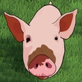 Funny pig on green grass