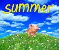 Funny pig looking out from behind hill in summer meadow. Amusing piglet Royalty Free Stock Photo