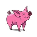 Funny pig icon isolated on white background