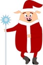 Funny pig Santa Claus
