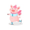 Funny pig skating wearing knitted hat and scarf, cute little piglet cartoon character vector Illustration on a white