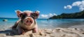 Funny pig with sunglasses taking a sunbath at a beach