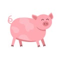 Funny pig vector flat illustration isolated on white background. Cute farm animal piggy icon cartoon character. Royalty Free Stock Photo