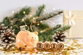 Funny piggy Bank with money symbol of new year 2019 on the background of fir branches decorated with lights and shiny stars. Royalty Free Stock Photo