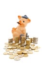 Funny piggy bank and piles of coins