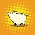 Funny piggy Bank