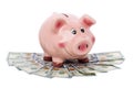 Funny piggy bank standing over heap of money