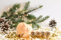 Funny piggy Bank symbol of new year 2019 on the background of fir branches decorated with lights and shiny stars. Chinese new year Royalty Free Stock Photo