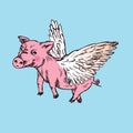 Funny piggy with lovely angel wings, hand drawn doodle, sketch