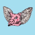 Funny piggy portrait with lovely angel wings, hand drawn doodle, sketch
