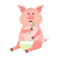 Funny Piggy symbol 2019 new year. Funny pig sitting and eating a plate of porridge spoon