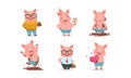 Funny Pigs Characters Drinking Coffee and Holding Gift Box Vector Set