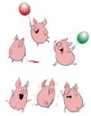Funny pigs set Royalty Free Stock Photo