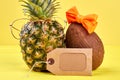 Funny pineapple and coconut on color background. Royalty Free Stock Photo