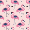 Funny pink flamingo with black sunglasses hand drawn vector illustration. Cute tropical bird seamless pattern for kids. Royalty Free Stock Photo