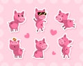 Funny Pink Pig Cartoon Character Stickers with Love Heart Vector Set Royalty Free Stock Photo