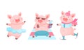 Funny Pink Pig Dancing Ballet and Drinking Cocktail on Seashore Vector Set