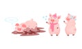 Funny Pink Pig Lying in Mud Puddle and Walking in Winter Vector Set