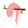 Funny Pink Worm Character with Long Tube Body Hanging on Tree Branch Vector Illustration Royalty Free Stock Photo