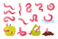 Funny pink worms set, cute happy earthworms characters eat apple or green leaf, crawl Royalty Free Stock Photo