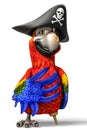 Pirate parrot cartoon Royalty Free Stock Photo