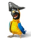 Pirate parrot cartoon Royalty Free Stock Photo