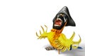 Pirate parrot cartoon Royalty Free Stock Photo