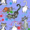 Funny plaing cats blue backround Royalty Free Stock Photo