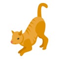 Funny playful cat icon, isometric style Royalty Free Stock Photo