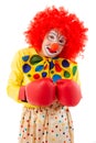 Funny playful clown Royalty Free Stock Photo