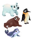 Funny polar animals