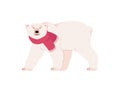 Funny polar bear walking in red scarf, winter holidays concept - flat vector illustration isolated on white background. Royalty Free Stock Photo