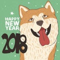 Funny portrait of dog breed Akita Inu