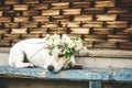 Funny portrait of dog in a wreath of summer flowers outdoors