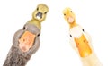 Funny portrait of goose and duck with gosling and duckling on the head