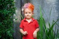 Funny portrait of happy hipster boy with messy colorful hair Royalty Free Stock Photo