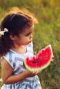 Funny portrait of an incredibly beautiful curly-haired little girl eating watermelon, healthy fruit snack, adorable toddler child Royalty Free Stock Photo